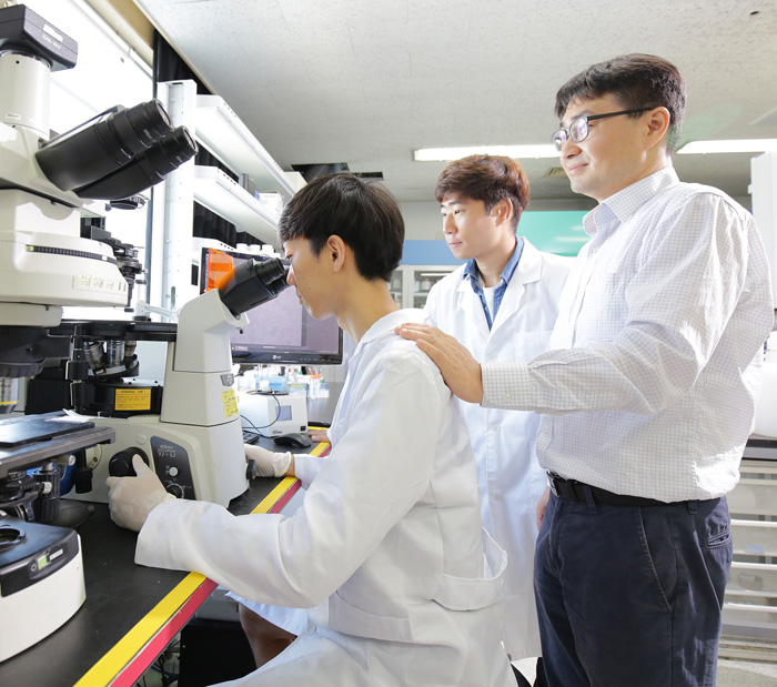 Prof. Gi Ra YI Develops New Method for Mass Production of Patchy Particles